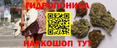 ПСИЛОЦИБИНОВЫЕ ГРИБЫ Ачхой-Мартан