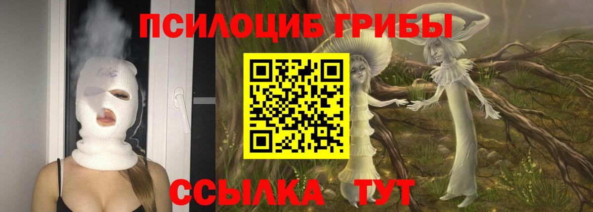 Галлюциногенные грибы мицелий  Вход с VPN  Гуково 